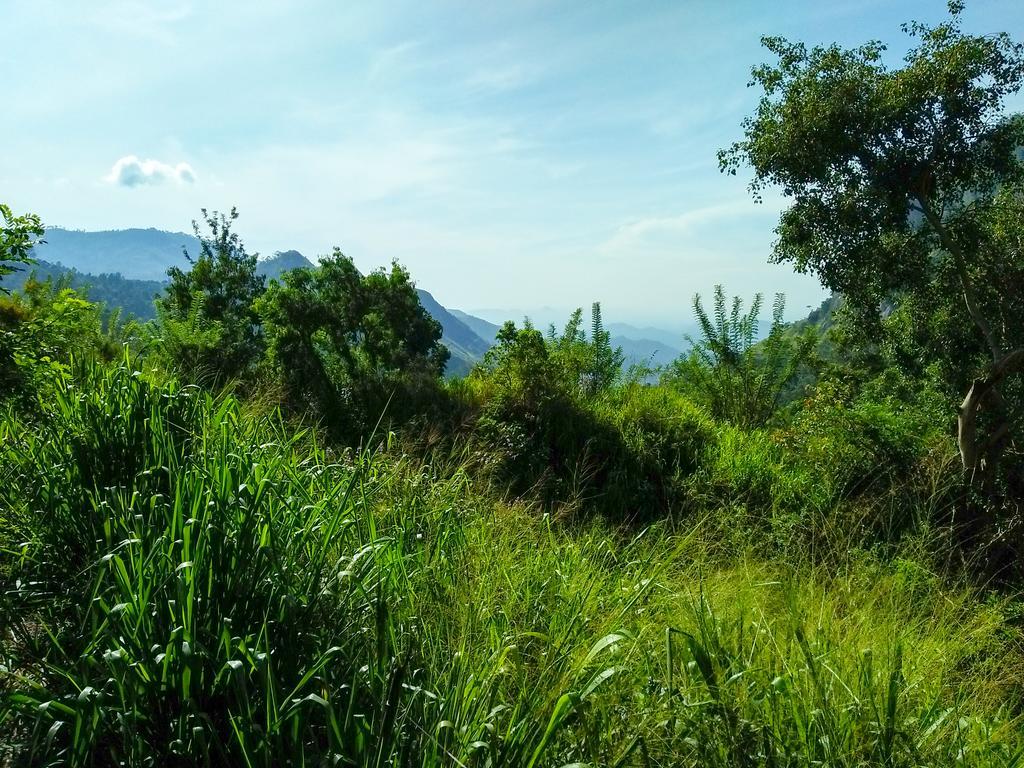 Village View Homestay Ella Exterior photo