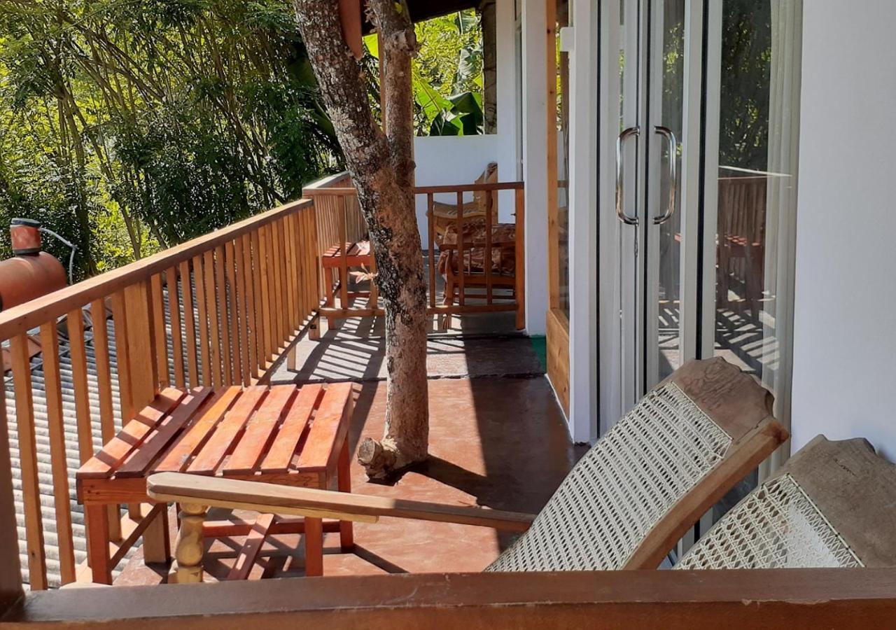 Village View Homestay Ella Exterior photo